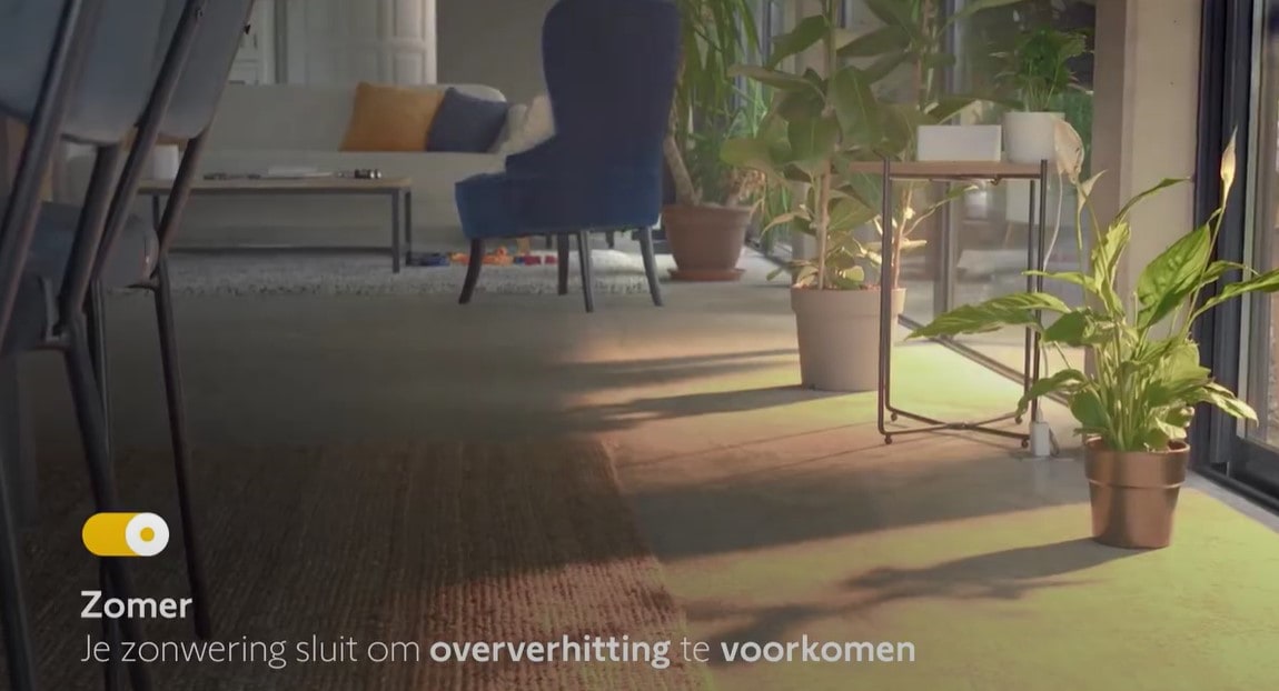 summer morning scenario