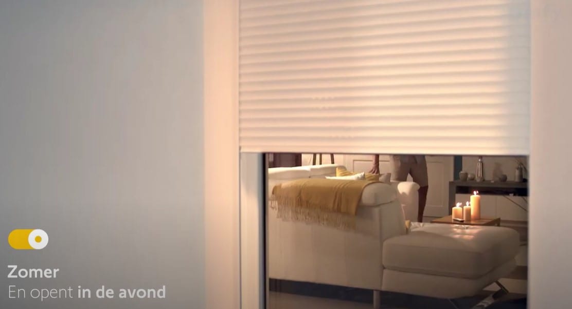 summer-evening scenario