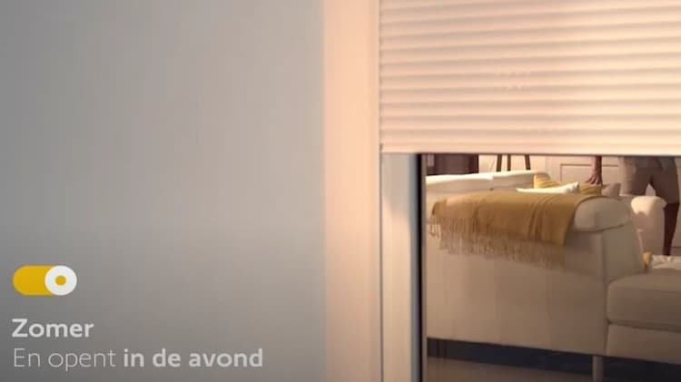 summer-evening scenario